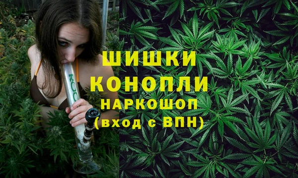 экстази Богданович